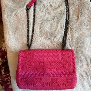 Bottega Veneta 2017 Butterfly Hot Pink Bag